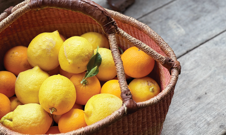 Winter citrus