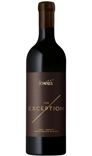 The Exception Merlot bottle