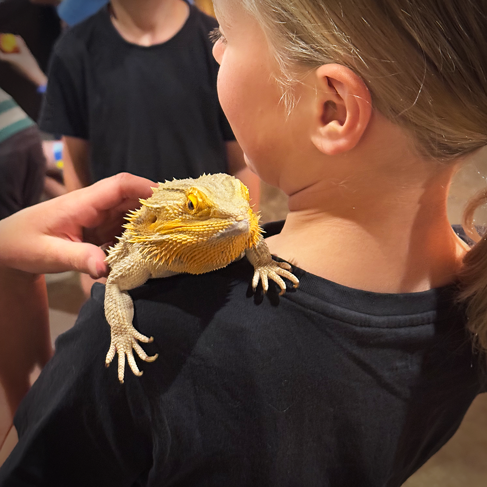 Tiny Tails Wildlife Discovery at Fowles Wine