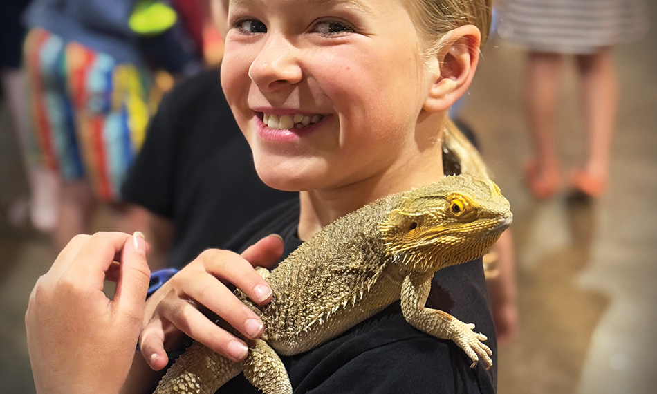 Child holding a bearded dragon.
